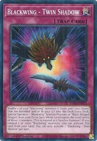 Blackwing - Twin Shadow - Darkwing Blast - YuGiOh card