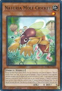 Naturia Mole Cricket - Darkwing Blast - YuGiOh card