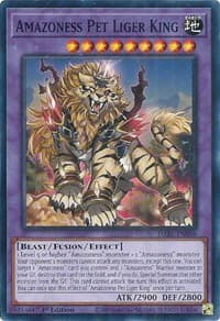 Amazoness Pet Liger King - Darkwing Blast - YuGiOh card