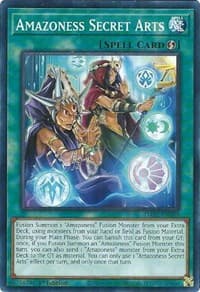 Amazoness Secret Arts - Darkwing Blast - YuGiOh card