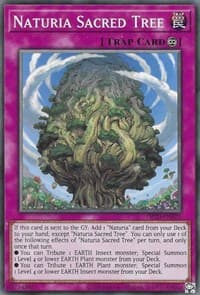Naturia Sacred Tree - OTS Tournament Pack 20 - YuGiOh card