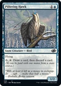Pilfering Hawk - Jumpstart 2022 - Magic: The Gathering card