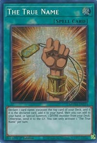 The True Name (Secret Pharaoh's Rare) - Magnificent Mavens - YuGiOh card