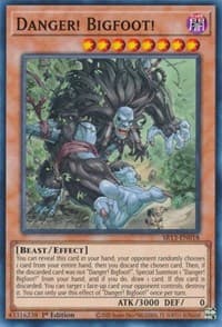 Danger! Bigfoot! - Structure Deck: Dark World - YuGiOh card