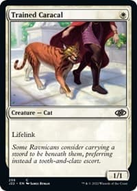 Trained Caracal - Jumpstart 2022 - Magic: The Gathering card