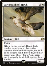 Cartographer's Hawk - Starter Commander Decks - Magic: The Gathering card