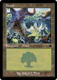 Forest (411) (Retro Frame) - Dominaria Remastered - Magic: The Gathering card