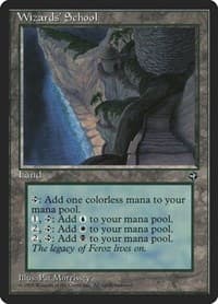 Wizards' School - Homelands - Magic: The Gathering card