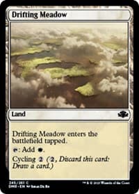 Drifting Meadow - Dominaria Remastered - Magic: The Gathering card