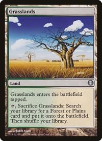 Grasslands - Duel Decks: Knights vs. Dragons - Magic: The Gathering card