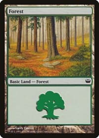 Forest (45) - Duel Decks: Knights vs. Dragons - Magic: The Gathering card