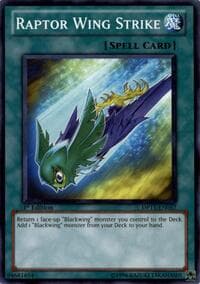 Raptor Wing Strike - Duelist Pack 11: Crow - YuGiOh card