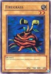 Firegrass - Legend of Blue Eyes White Dragon (Worldwide English) - YuGiOh card