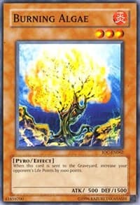 Burning Algae - Invasion of Chaos (Worldwide English) - YuGiOh card
