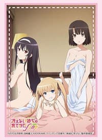 Bushiroad Sleeve Collection HG Vol.3402: Saekano: How to Raise a Boring Girlfriend Fine (75-Pack) - Bushiroad Card Sleeves - Card Sleeves card