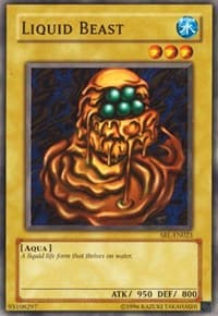 Liquid Beast - Spell Ruler (Worldwide English) - YuGiOh card