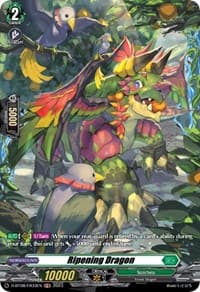 Ripening Dragon (FR) - D-BT08: Minerva Rising - Cardfight Vanguard card