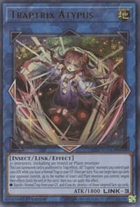 Traptrix Atypus - Structure Deck: Beware of Traptrix - YuGiOh card