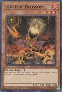 Lonefire Blossom - Structure Deck: Beware of Traptrix - YuGiOh card