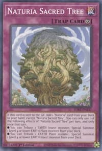 Naturia Sacred Tree - Structure Deck: Beware of Traptrix - YuGiOh card