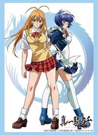 Bushiroad Sleeve Collection HG Vol.3434: Ikkitousen - Sonsaku & Ryomou (75-Pack) - Bushiroad Card Sleeves - Card Sleeves card