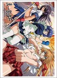 Bushiroad Sleeve Collection HG Vol.3436: Ikkitousen - Sonsaku, Ryomou, Kan-u (75-Pack) - Bushiroad Card Sleeves - Card Sleeves card