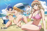 Bushiroad Rubber Mat Collection V2 Vol.560: Ikkitousen - Sonsaku, Ryomou, Sonken - Bushiroad Playmats - Playmats card