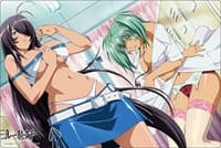 Bushiroad Rubber Mat Collection V2 Vol.561: Ikkitousen - Kan-u & Ryofu - Bushiroad Playmats - Playmats card