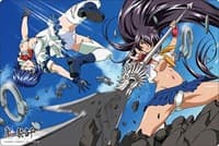 Bushiroad Rubber Mat Collection V2 Vol.562: Ikkitousen - Ryomou & Kan-u - Bushiroad Playmats - Playmats card