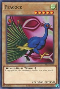 Peacock - Spell Ruler (25th Anniversary Edition) - YuGiOh card