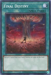 Final Destiny - Spell Ruler (25th Anniversary Edition) - YuGiOh card