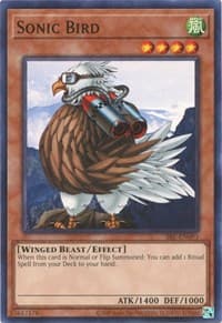 Sonic Bird - Spell Ruler (25th Anniversary Edition) - YuGiOh card