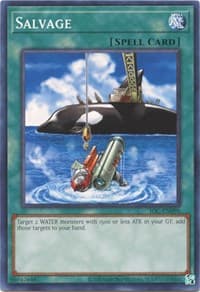 Salvage - Invasion of Chaos (25th Anniversary Edition) - YuGiOh card