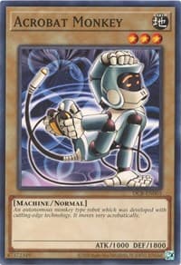 Acrobat Monkey - Dark Crisis (25th Anniversary Edition) - YuGiOh card