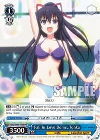 Fall in Love Dome, Tohka - Date A Live Vol.2 - Weiss Schwarz card