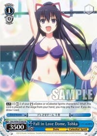 Fall in Love Dome, Tohka (Foil) - Date A Live Vol.2 - Weiss Schwarz card