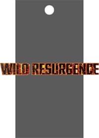 Wild Resurgence Booster Pack - Wild Resurgence - Dragon Ball Super: Masters card