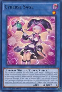 Cyberse Sage - Cyberstorm Access - YuGiOh card
