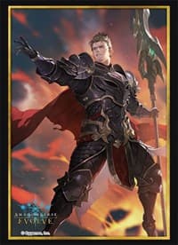 Bushiroad Sleeve Collection HG Vol.5: Shadowverse - Rowen (75-Pack) - Bushiroad Card Sleeves - Card Sleeves card