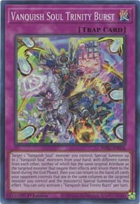 Vanquish Soul Trinity Burst - Wild Survivors - YuGiOh card