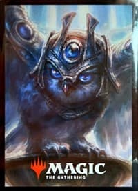 Judge Academy Card Sleeves (50-Pack) - Wizards of the Coast Card Sleeves - Card Sleeves card
