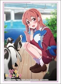 Bushiroad Sleeve Collection HG Vol.3644: Rent-A-Girlfriend - Sumi Sakurasawa (75-pack) - Bushiroad Card Sleeves - Card Sleeves card