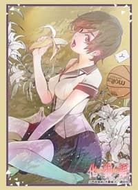 Bushiroad Sleeve Collection HG Vol.2984: Bakemonogatari "Suruga Kanbaru" (75-Pack) - Bushiroad Card Sleeves - Card Sleeves card