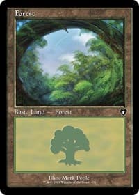 Forest (451) (Retro Frame) - Commander Masters - Magic: The Gathering card