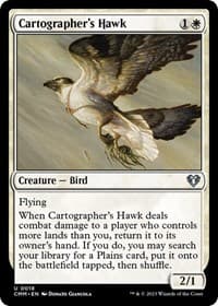 Cartographer's Hawk - Commander Masters - Magic: The Gathering card