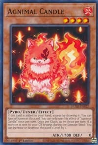 Agnimal Candle - Duelist Nexus - YuGiOh card