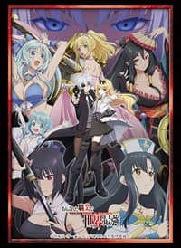 Bushiroad Sleeve Collection HG Vol.3625: Arifureta: From Commonplace to World`s Strongest (75-Pack) - Bushiroad Card Sleeves - Card Sleeves card