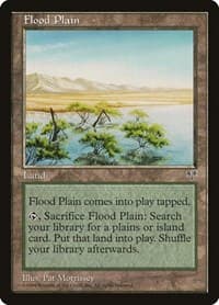 Flood Plain - Mirage - Magic: The Gathering card