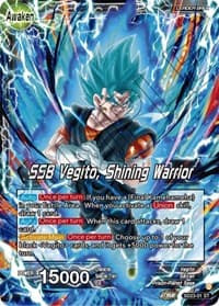 Son Goku & Vegeta // SSB Vegito, Shining Warrior - Critical Blow - Dragon Ball Super: Masters card