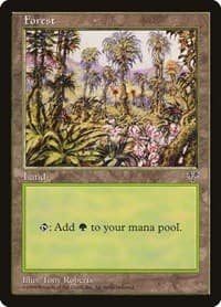 Forest (Pink Flowers Right) - Mirage - Magic: The Gathering card